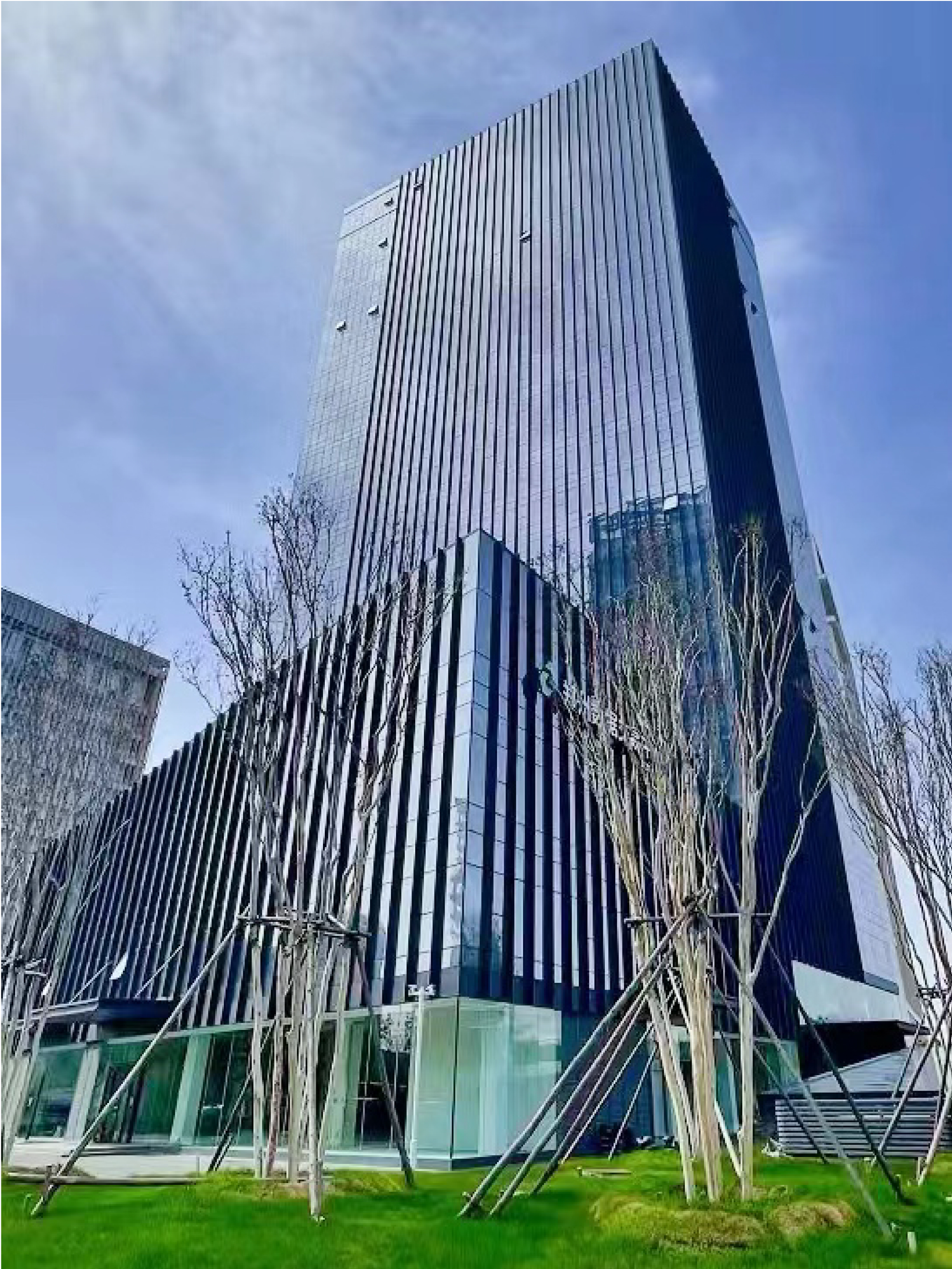 郑州新-01.jpg
