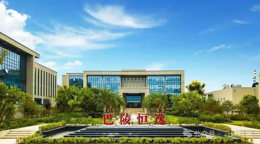 巴陵恒逸1.png